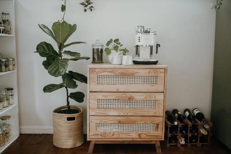 Ceramic Rorschach Test: What My Cabinet Says About Me Before I've Had Coffee